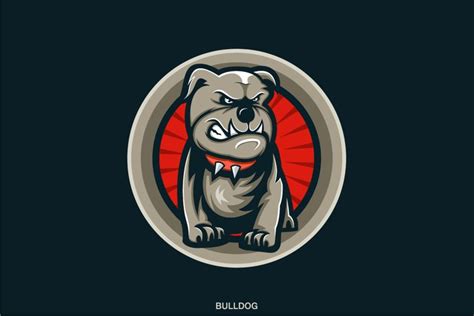 bulldog logo design vektor vector