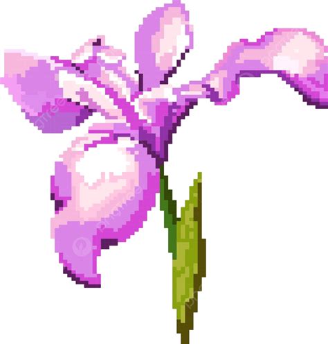 Iris Flower Pixel Art White Background Depiction Decoration Icon Nature