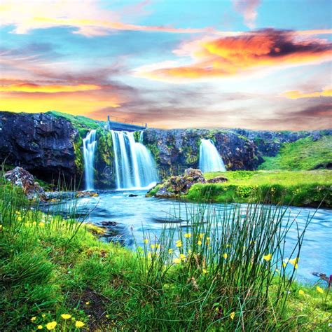 Beautiful Scenery With A Waterfall Kirkjufell And Yellow Flowers At