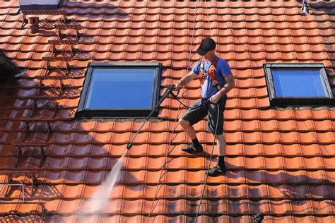 The Benefits And Methods Of Regular Roof Cleaning Sheds Home