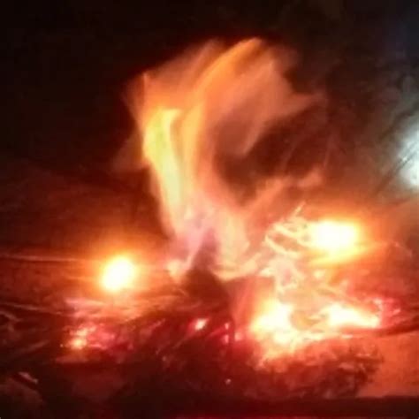 Ofje 224 Free Porn Video Ff XHamster