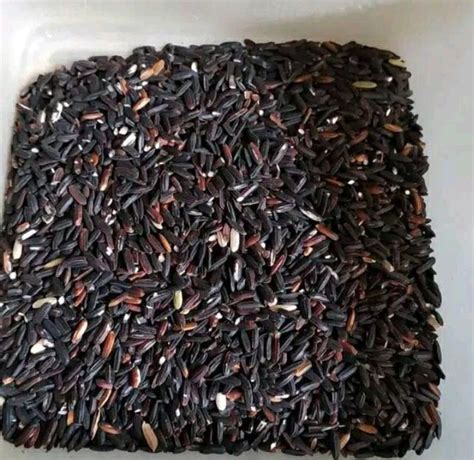 Beras Ketan Hitam Per 250gram Lazada Indonesia