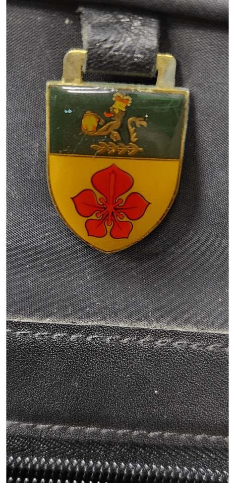 Need Help Identifying This Rheraldry