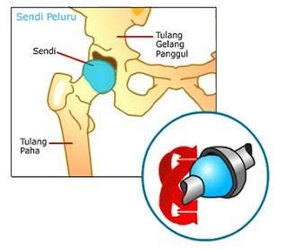 1 Sendi Engsel Sendi Engsel Adalah Persendian Yang Memungkinkan