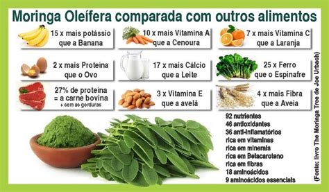 OS 27 BENEFÍCIOS DA MORINGA PARA A SAÚDE