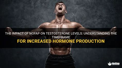 The Impact Of Nofap On Testosterone Levels Understanding The Timeframe For Increased Hormone