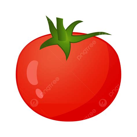 Tomatoes Clipart Vector Tomato Vector Illustration Tomato Tomato