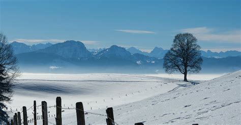 Free stock photo of mountains, panoramic view, snow