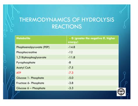 Biochem Exam Flashcards Quizlet