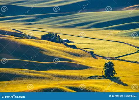 Sunset on the Palouse Region of Washington State, USA Stock Image ...