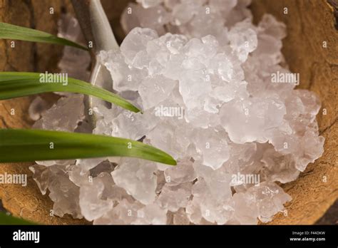 Water kefir grains Stock Photo - Alamy