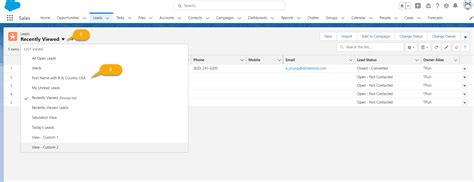 How To Create A List View In Salesforce Lightning And Classic