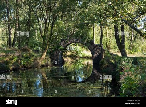 The Ivy Bridge At The Chinese Ponds Castle Toward Estate Corlarach