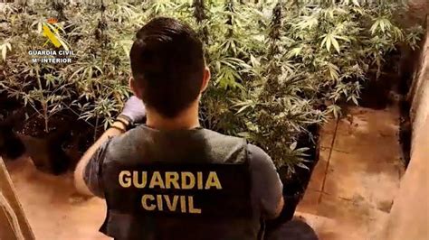 La Guardia Civil De Albacete Desmantela Una Organizaci N Criminal