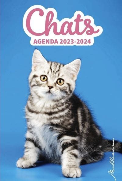 Agenda Chats Dernier Livre De Collectif Pr Commande