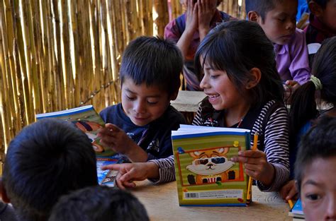 Diversidad En El Aula