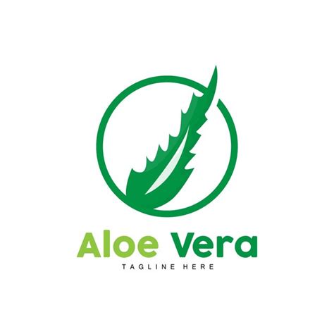 Logotipo de aloe vera diseño de planta verde medicina tradicional y