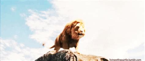 Lion Narnia GIF - Find & Share on GIPHY