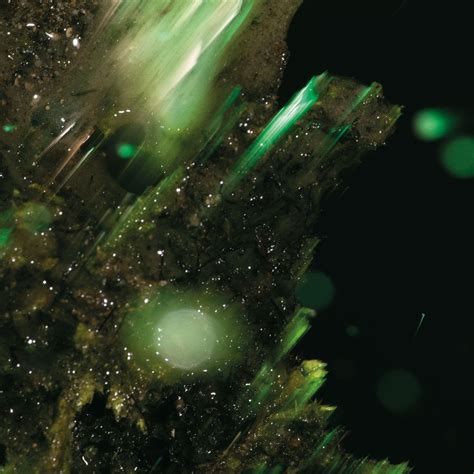 Abraham Announce New Album idsungwüssä Out 0 26 Drop Naked in a Naked Sky Metalheads