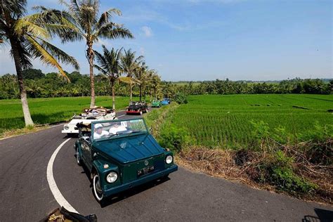 Quad Buggy Best Things To Do In Ubud