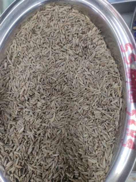 Brown Organic Cumin Seed At Rs 255 Kg In Chennai ID 22069641397