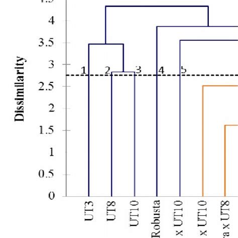 Cluster Dendrogram Illustrating Genetic Diversity Among The Twenty