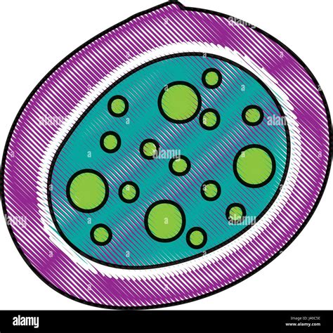 Icono De Estructura Celular Bacteriana Imagen Vector De Stock Alamy