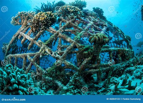 Biorocks of Coral Reefs in Gili, Lombok, Nusa Tenggara Barat, Indonesia ...