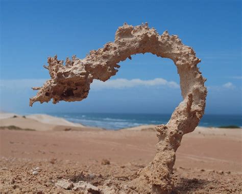 Lightning Strikes Create Stunning Sand Sculptures In Seconds Through Rare ‘extreme Heat’ Phenomenon