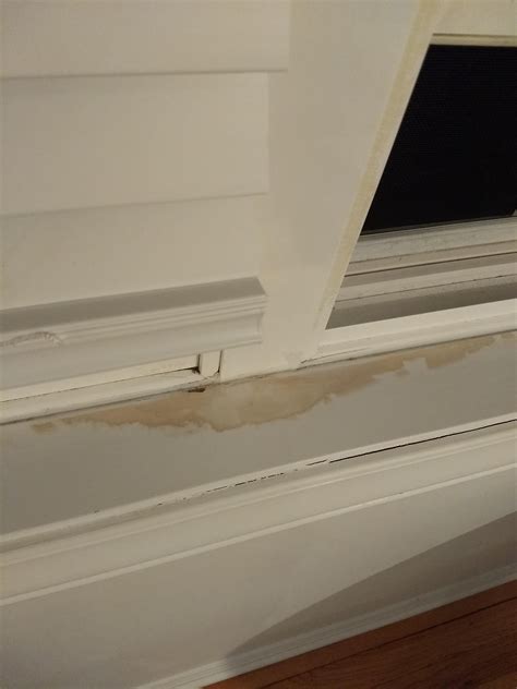 Mold/Mildew on window sills : r/CleaningTips