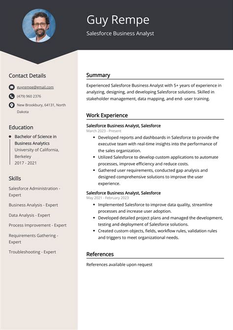 Salesforce Business Analyst Resume Examples Template Tips