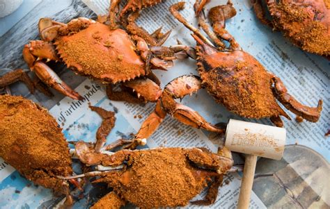 Steamed Chesapeake Blue Crab Edible Delmarva