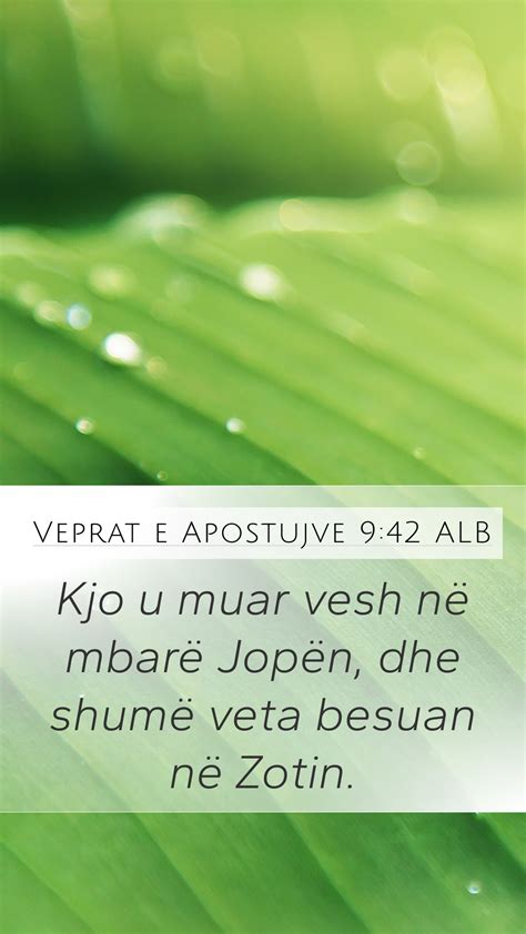 Veprat E Apostujve Alb Mobile Phone Wallpaper Kjo U Muar Vesh N