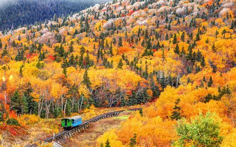 The Best Fall Foliage Train Trips to Take This Year