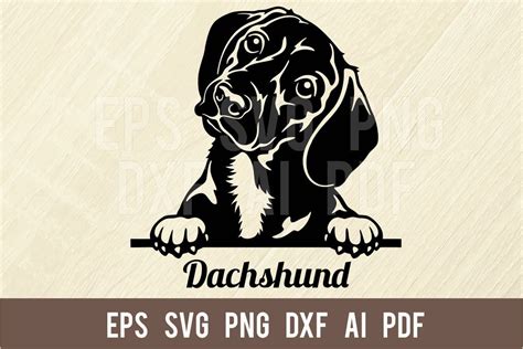 Dachshund Svg Dog Svg Dog Clip Art Dog Breed Dog Cut File Etsy