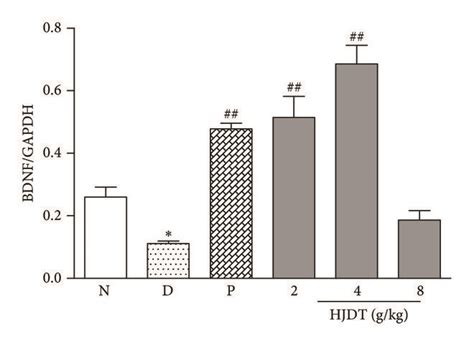 Effect Of HJDT On The BDNF TrkB And PCREB CREB Expression In The