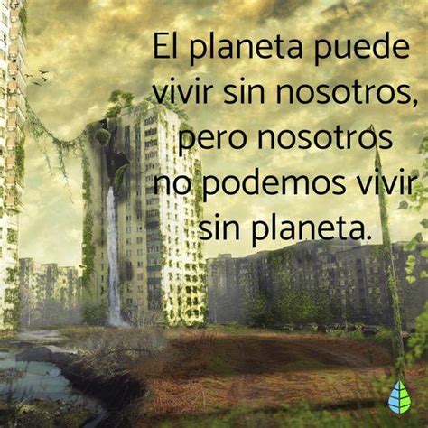 Las Mejores Frases De Cuidar El Medio Ambiente Que Te Motivarán