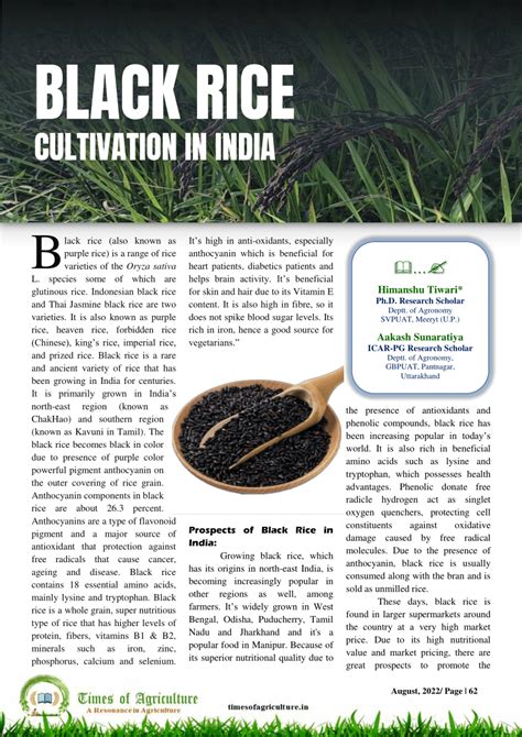 Pdf Black Rice Cultivation In India