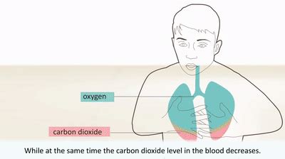 Hyperventilation - Causes and treatment of hyperventilation on Make a GIF