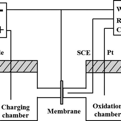 Schematic Of The Experimental Cell For Hydrogen Permeation Experiments