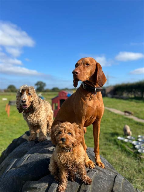 Tax incentives will soon create more jobs with daycare near me 2