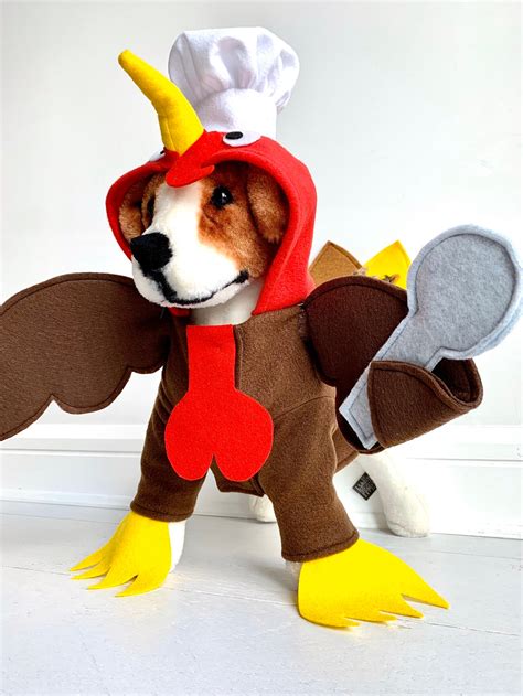 Turkey Costume Turkey Dog Costume Dog Thanksgiving Costume - Etsy