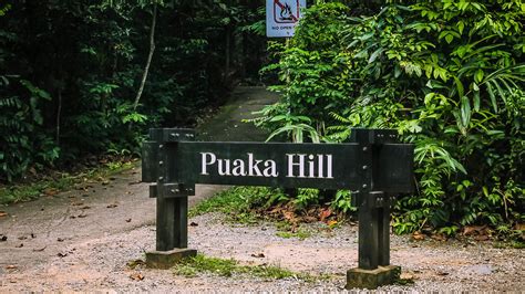 Pulau Ubin - Let’s Hike Puaka Hill, Who’s In? - Alexis Jetsets – Travel Blog :: Alexis Jetsets ...