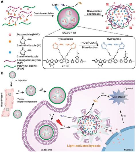 Stimuli Responsive Nanocarriers For Drug Delivery Tumor Imaging