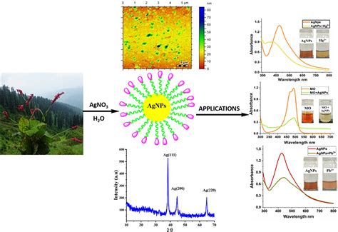 Frontiers Dual Colorimetric Sensor For Hg Pb And An Efficient