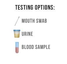 Four Common Types Of HIV Tests Available Today Assignment Point