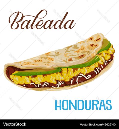 Honduran Baleada Royalty Free Vector Image VectorStock