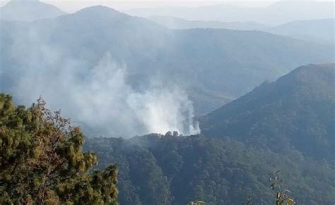 Incendio Forestal Arrasa 50 Hectáreas De Bosque En Oaxaca