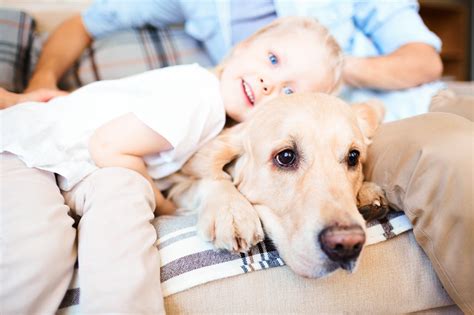 Benef Cios Da Conviv Ncia De Crian A Cachorro E Intera Es Que