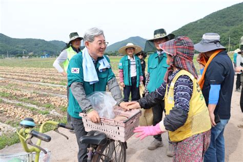 의령군 농촌일손돕기 적극 지원공무원 유관기관 등 500여명 동참 아시아투데이